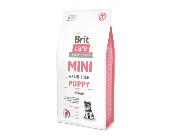 BRIT CARE DOG MINI PUPPY LAMB 2KG