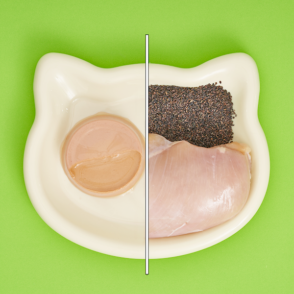 UNIQ PETS DELICIOUS PATE PASZTECIK DROBIOWY 30G