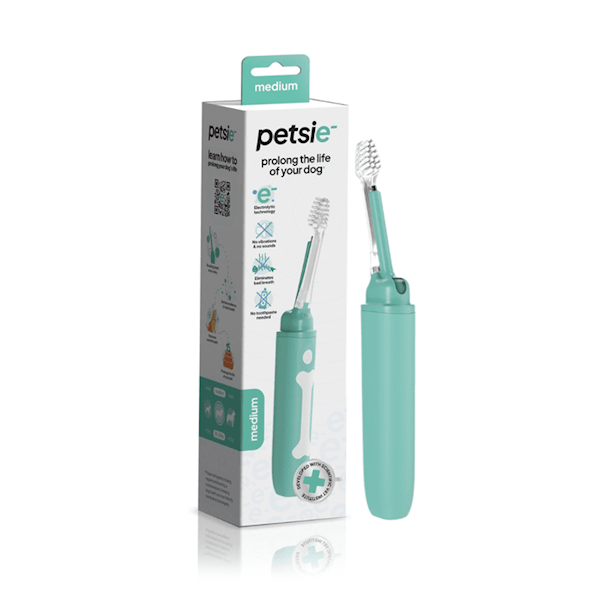 PETSIE MEDIUM (ELEKTROLITYCZNA SZCZOTECZKA DLA PSÓW 10-20KG)
