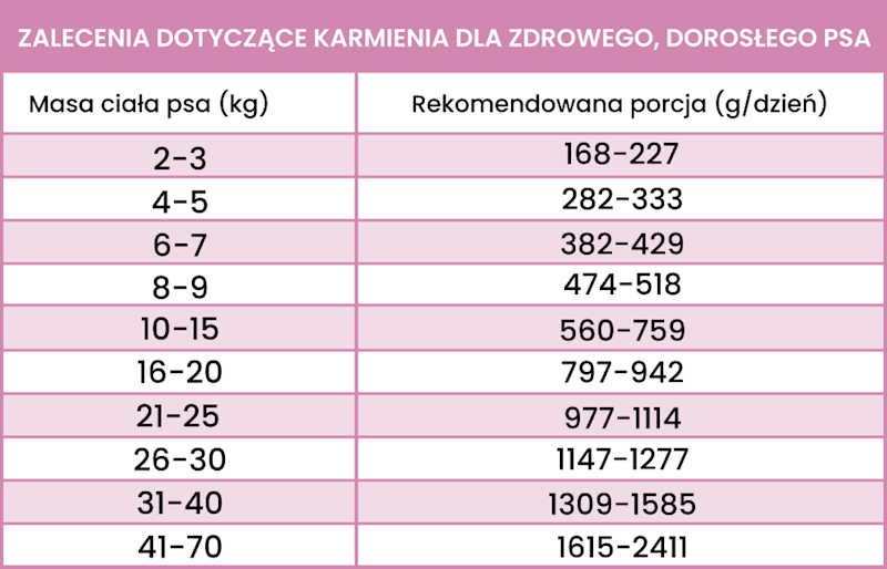 PERRO GOURMET KRÓLIK Z MARCHEWKĄ 400G