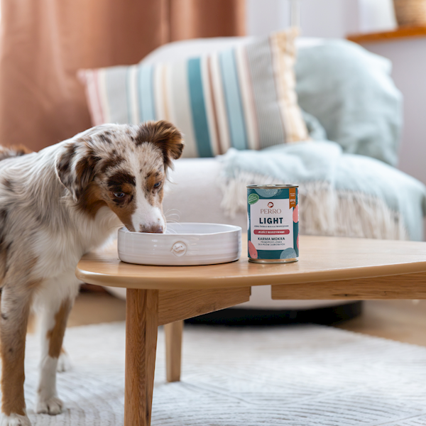 PERRO LIGHT MONOBIAŁKOWA JELEŃ Z WARZYWAMI 400G