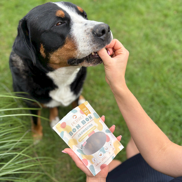 PERRO BON BON JAGNIĘCINA (WSPARCIE ODPORNOŚCI) 80G