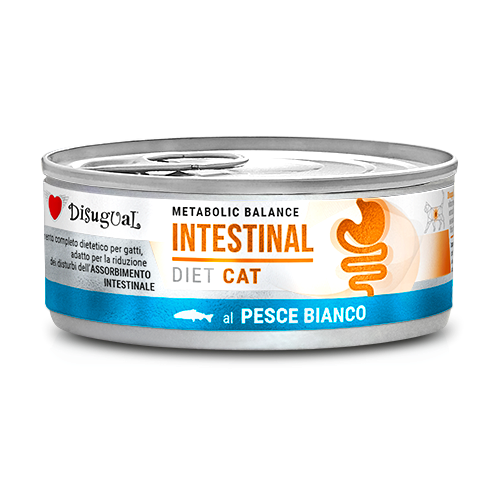 DISUGUAL CAT VET INTESTINAL BIAŁORYBY 85G