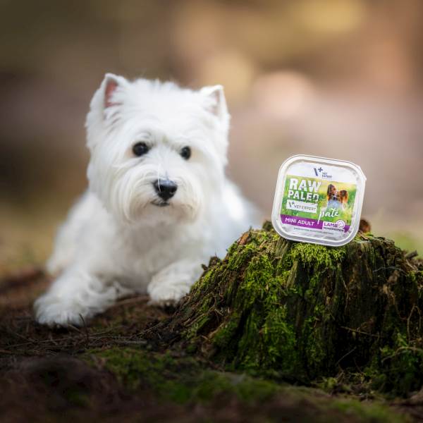 VET EXPERT RAW PALEO MINI ADULT LAMB PATE 150G