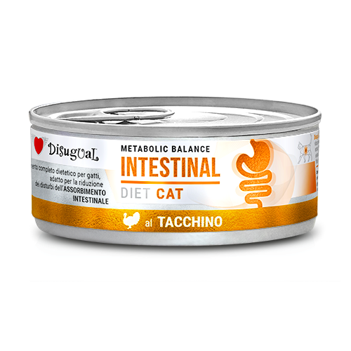 DISUGUAL CAT VET INTESTINAL INDYK 85G