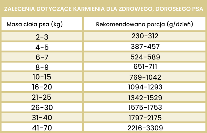 PERRO GOURMET KANGUR Z DYNIĄ 400G