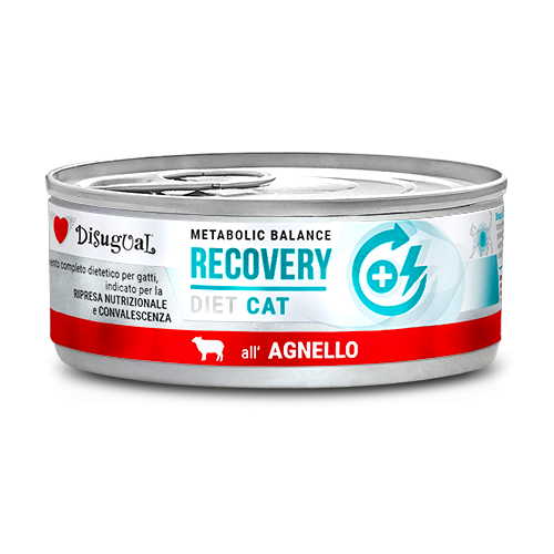 DISUGUAL CAT VET RECOVERY JAGNIĘCINA 85G