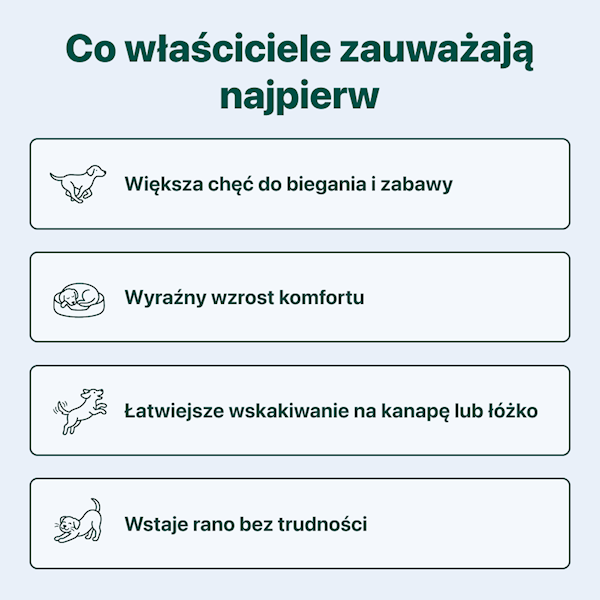 DOGSUPPY STAWY I RUCHOMOŚĆ 180G