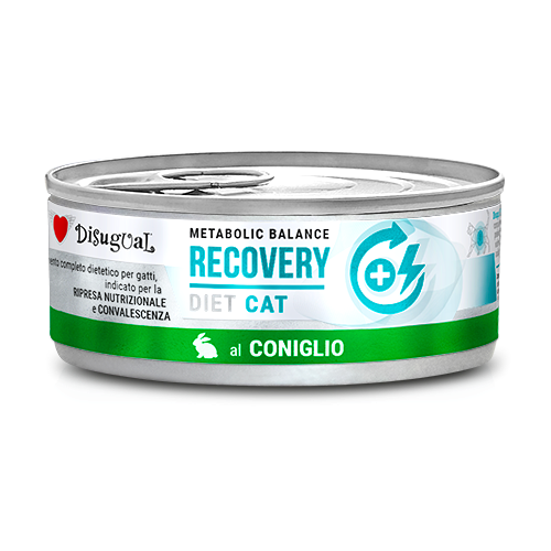 DISUGUAL CAT VET RECOVERY KRÓLIK 85G