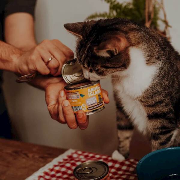 ANIMAL ISLAND CAT PREMIUM KURCZAK I KACZKA 200G