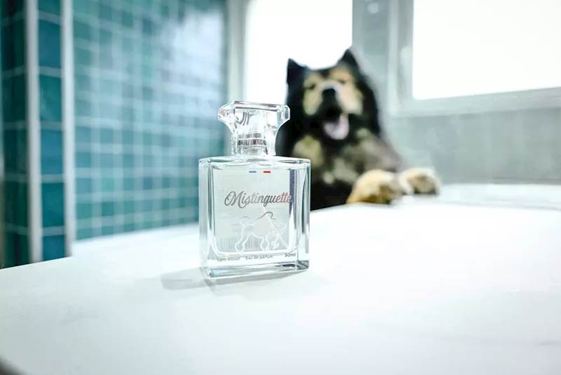 FRANCODEX PERFUMY MISTINGUETTE KWIATOWE 50ML