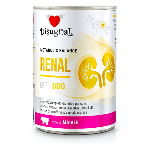 DISUGUAL DOG VET RENAL WIEPRZOWINA 400G