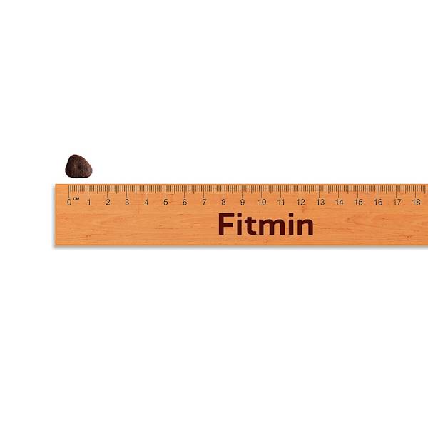 FITMIN DOG PURITY GF PUPPY FISH 2KG