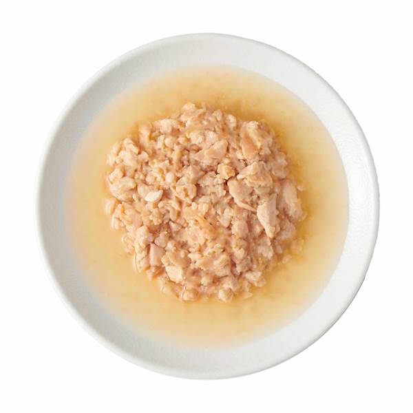 JOHN DOG FOR TASTY BROTH (ZUPA DLA KOTA I PSA) Z KURCZAKIEM 140G