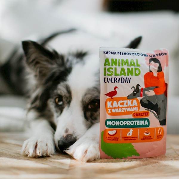 ANIMAL ISLAND DOG MONO KACZKA (PASZTET) 300G