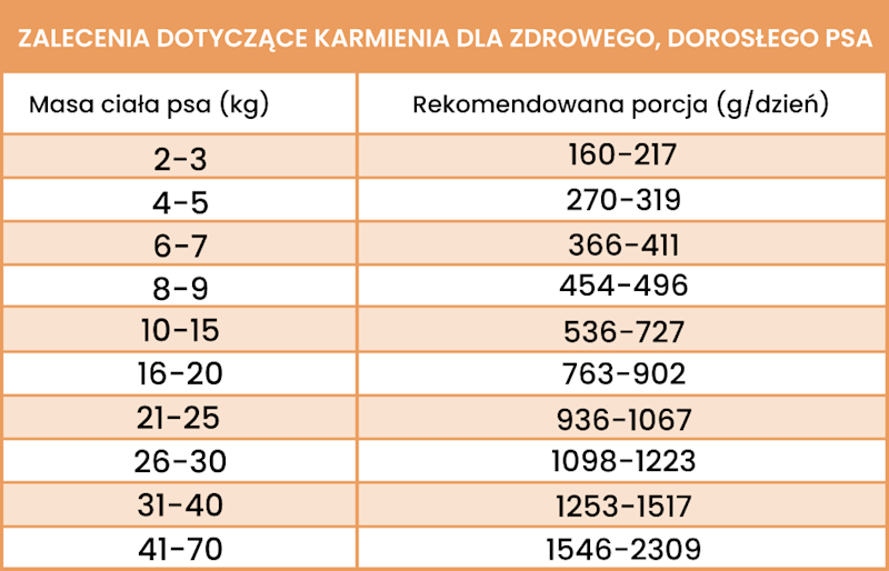 PERRO GOURMET CIELĘCINA Z CUKINIĄ 400G