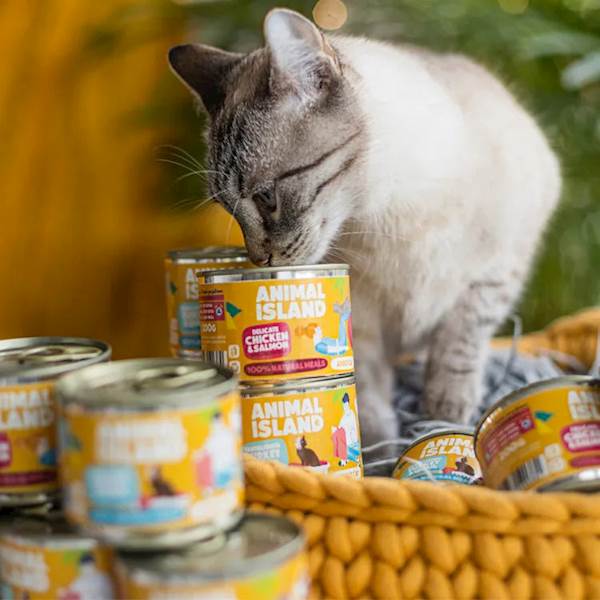 ANIMAL ISLAND CAT PREMIUM KURCZAK I ŁOSOŚ 200G