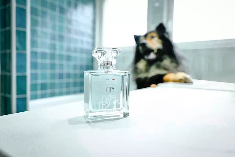 FRANCODEX PERFUMY CITY ZAPACH UNISEX 50ML