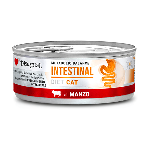 DISUGUAL CAT VET INTESTINAL WOŁOWINA 85G