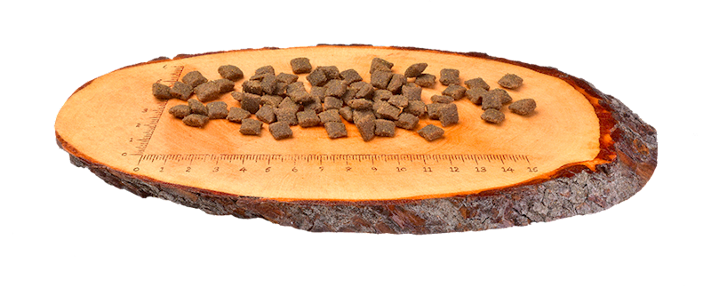 CARNILOVE CAT LAMB&WILD BOAR STERILISED 400G