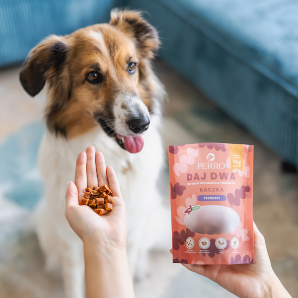 PERRO DAJ DWA TRENERKI Z KACZKĄ 85G 