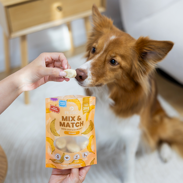 PERRO MIX&MATCH PRZYSMAKI LIOFILIZOWANE BANAN 20G