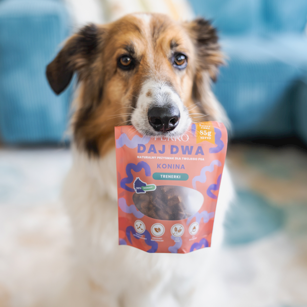 PERRO DAJ DWA TRENERKI Z KONINĄ 85G 