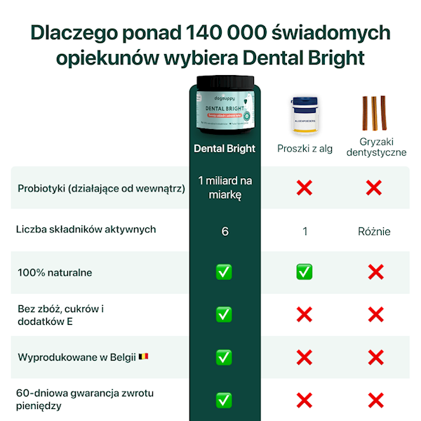 DOGSUPPY DENTAL BRIGHT 90G