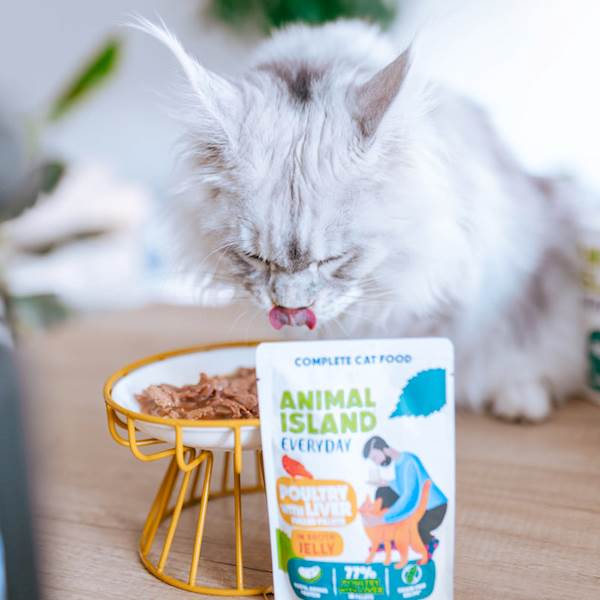 ANIMAL ISLAND CAT EVERYDAY DRÓB Z WĄTRÓBKĄ (FILECIKI W GALARETCE) 85G