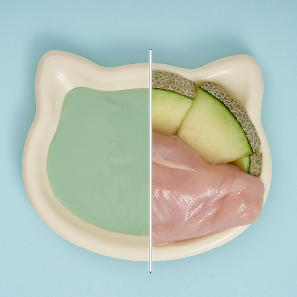 UNIQ PETS DELIGHT SHAKE Z KURCZAKIEM I MELONEM 60G