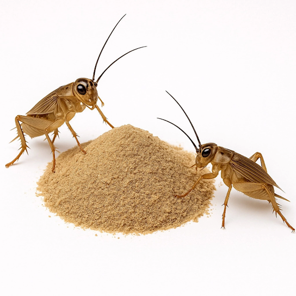 BIOGECKO FOOD INSECT SUPPLEMENT 50G