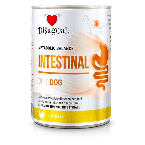 DISUGUAL DOG VET INTESTINAL KURCZAK 400G