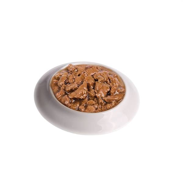 FITMIN CAT FOR LIFE ADULT DUCK 85G