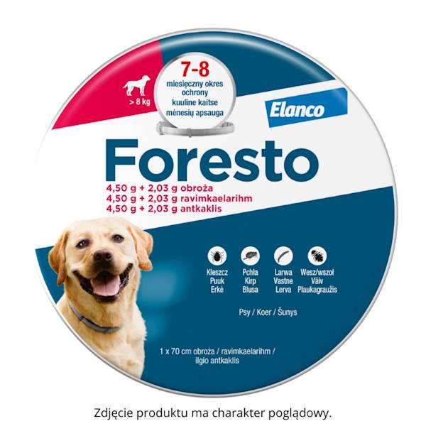 ELANCO FORESTO OBROŻA DLA PSÓW POWYŻEJ 8KG