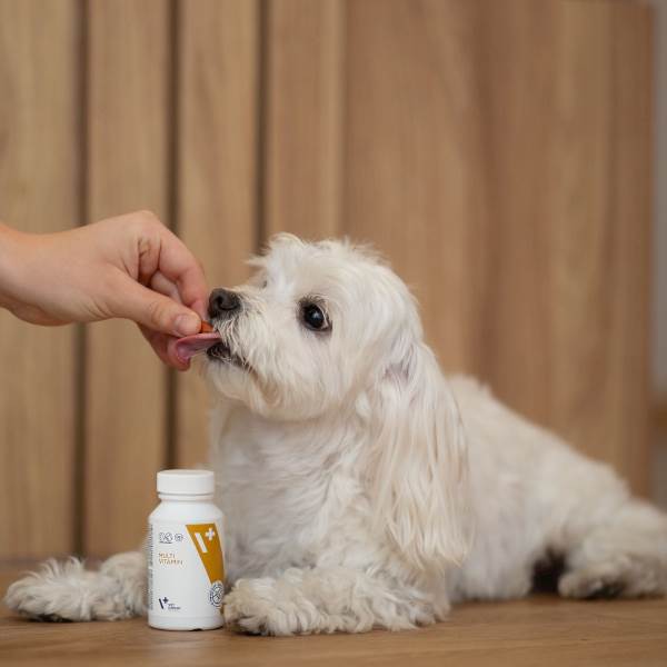 VET EXPERT MULTI VITAMIN 30KAPS