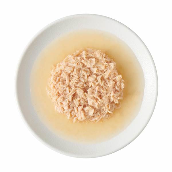 JOHN DOG FOR TASTY BROTH (ZUPA DLA KOTA I PSA) Z ŁOSOSIEM 140G