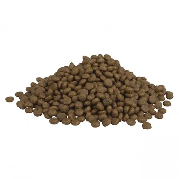 FITMIN DOG PROGRAM MINI PUPPY LAMB&BEEF 12KG