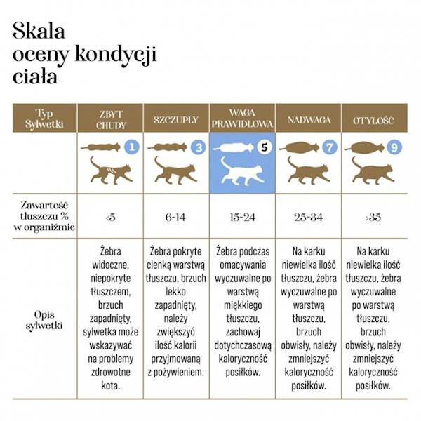 DR MALOU KARMA LIOFILIZOWANA DLA KOTA KACZKA Z JAGNIĘCINĄ 1KG