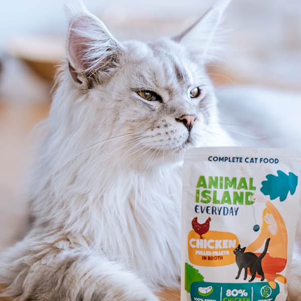 ANIMAL ISLAND CAT EVERYDAY KURCZAK (FILECIKI W BULIONIE) 85G