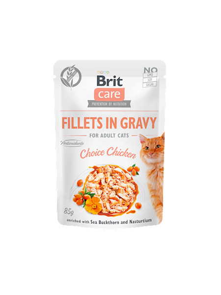 BRIT CARE CAT FG CHOICE CHICKEN 85G