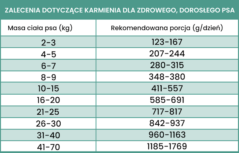 PERRO GOURMET KONINA Z KORZENIEM PIETRUSZKI 400G