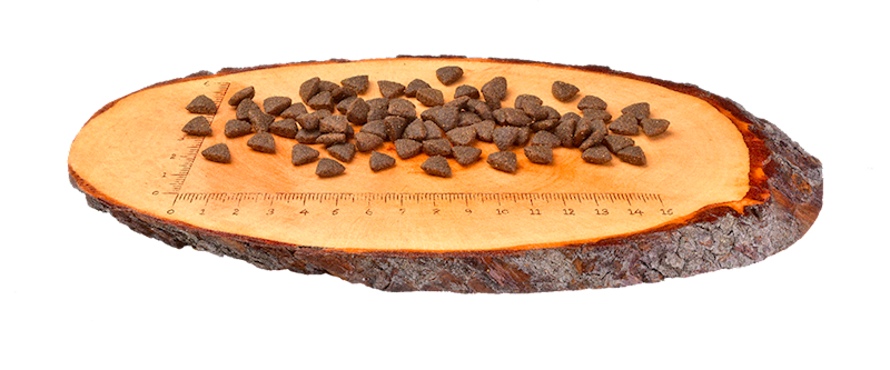 CARNILOVE CAT REINDEER ENERGY&OUTDOOR 400G