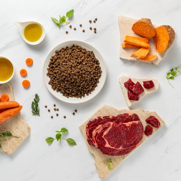 VET EXPERT RAW PALEO ULTRA PUPPY MINI BEEF 2KG