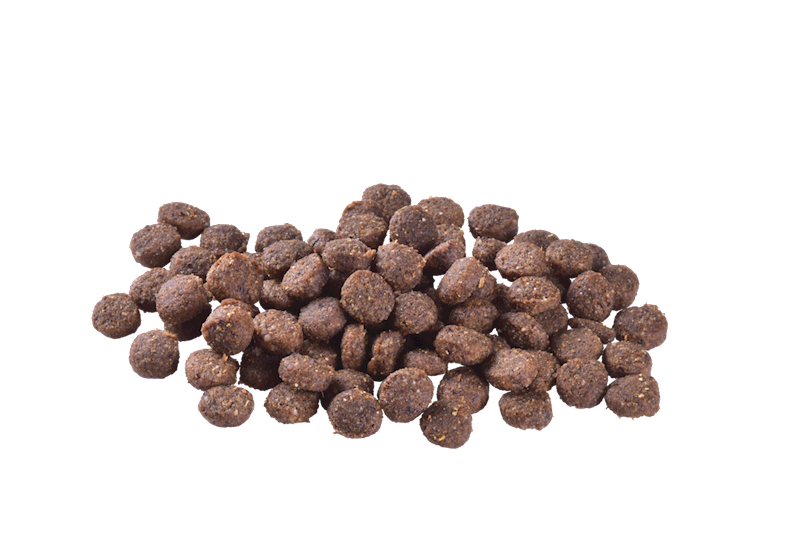 BRIT CARE DOG HYPOALLERGENIC PUPPY LAMB 3KG