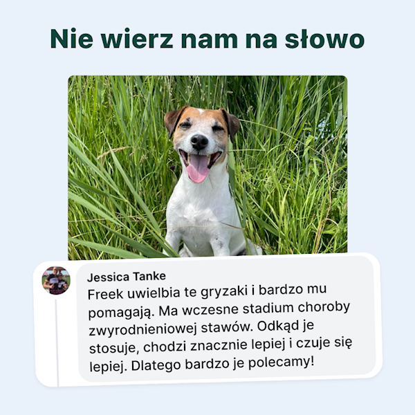 DOGSUPPY STAWY I RUCHOMOŚĆ 180G