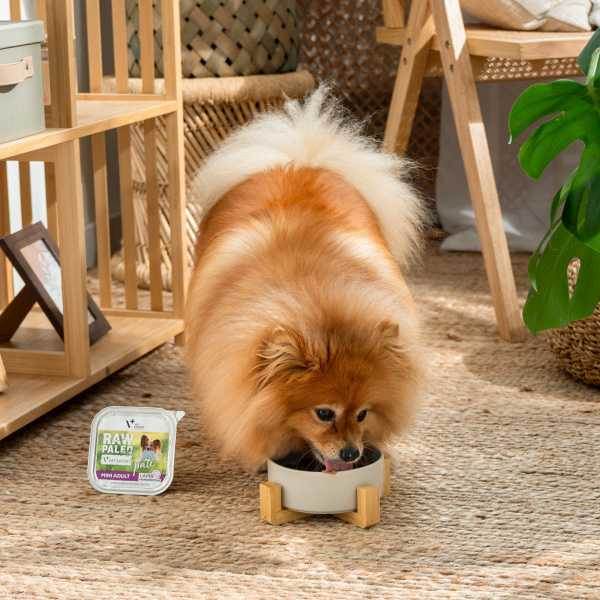 VET EXPERT RAW PALEO MINI ADULT LAMB PATE 150G