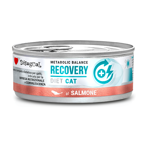 DISUGUAL CAT VET RECOVERY ŁOSOŚ 85G