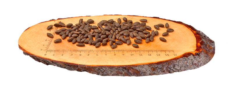 CARNILOVE CAT SALMON SENSITIVE&LONG HAIR 400G