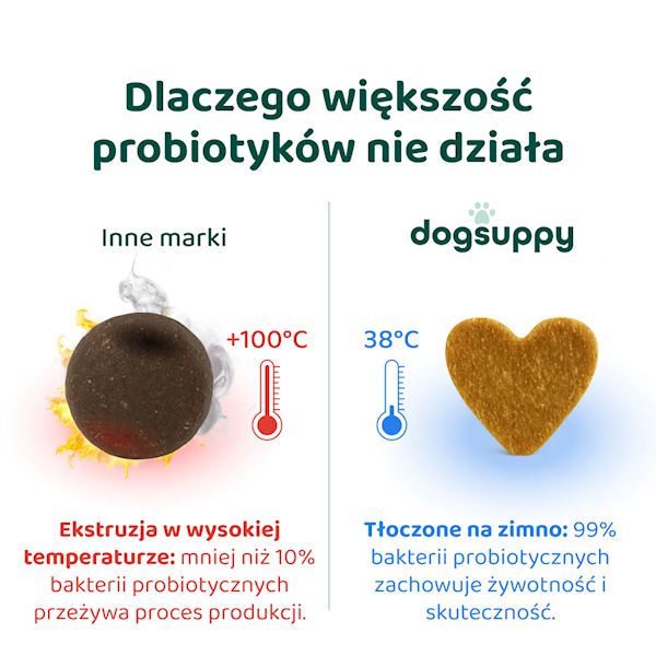 DOGSUPPY PROBIOTYKI FORTE 180G