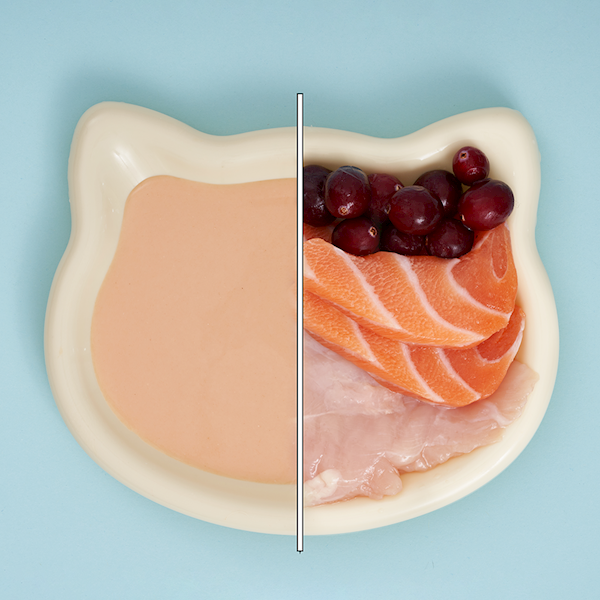 UNIQ PETS DELIGHT SHAKE Z ŁOSOSIEM I ŻURAWINĄ 60G